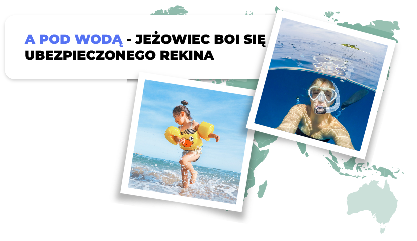 A pod wodą - jeżowiec boi się ubezpieczonego rekina