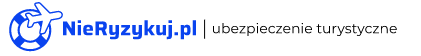 logo nieryzykuj.pl
